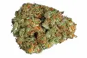 cannahaze.webp