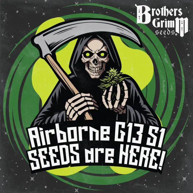 Airborne G13 S1