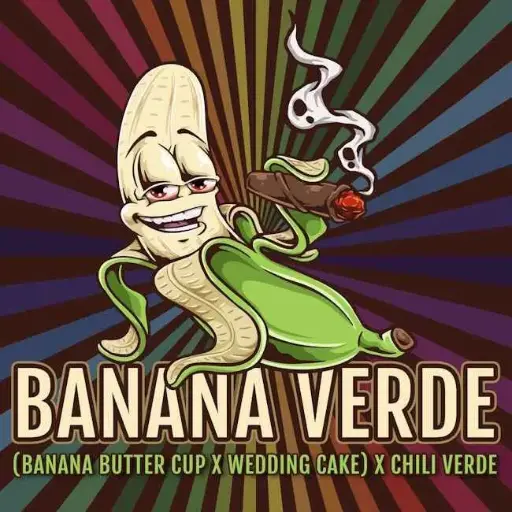 Banana Verde Feminized