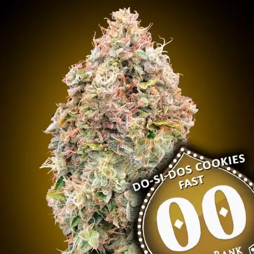 Do-Si-Do Cookies Auto Fem Seeds