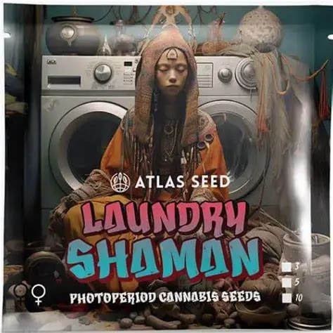 Laundry Shaman Fem 5 pack