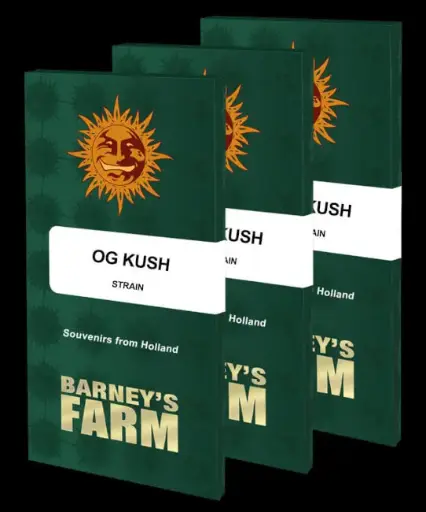 OG Kush Feminised Seeds - 3