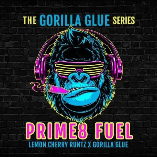 Prime8 Fuel Feminized