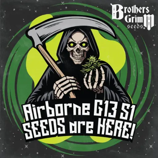 Airborne G13 S1